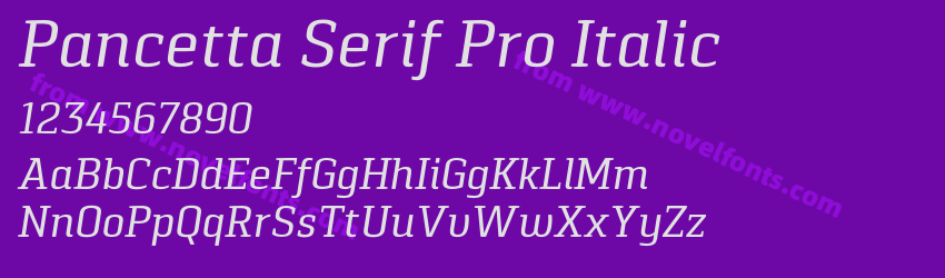 Pancetta Serif Pro ItalicPreview