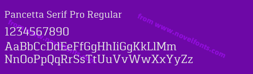 Pancetta Serif Pro RegularPreview