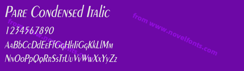 Pare Condensed ItalicPreview