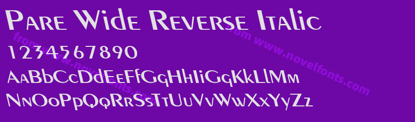 Pare Wide Reverse ItalicPreview