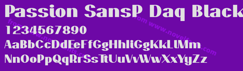 Passion SansP Daq BlackPreview