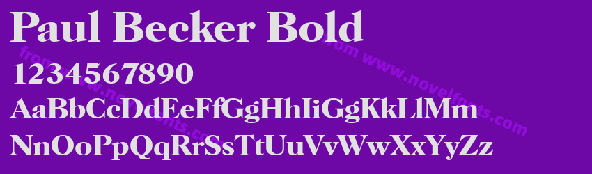 Paul Becker BoldPreview