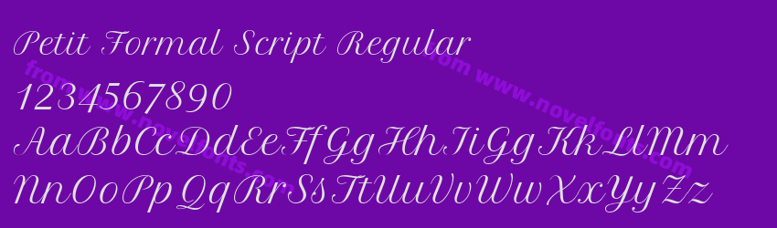 Petit Formal Script RegularPreview