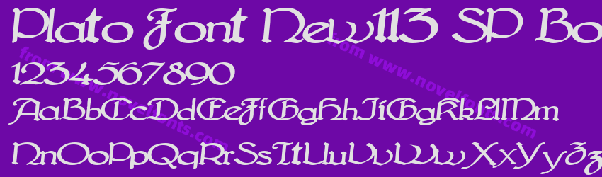 Plato Font New113 SP BoldPreview