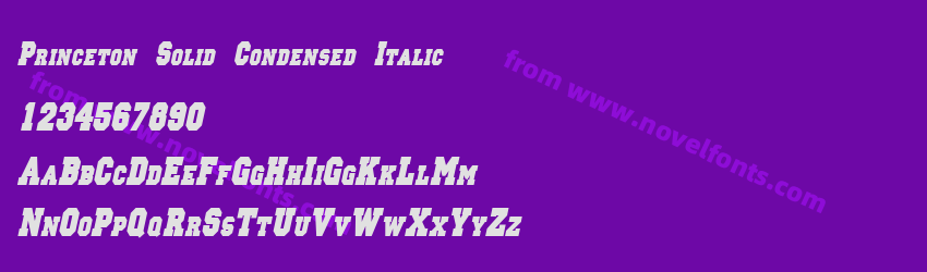 Princeton Solid Condensed ItalicPreview