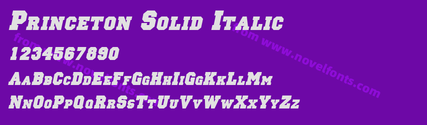 Princeton Solid ItalicPreview