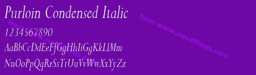 Purloin Condensed ItalicPreview