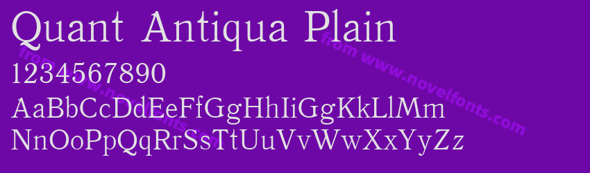 Quant Antiqua PlainPreview