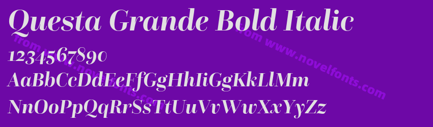 Questa Grande Bold ItalicPreview