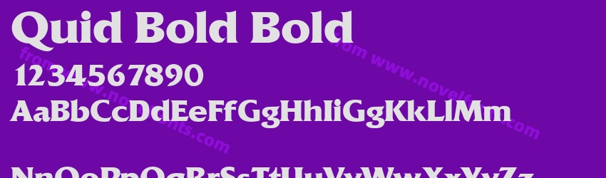 Quid Bold BoldPreview