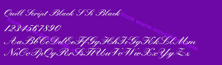 Quill Script Black SSi BlackPreview