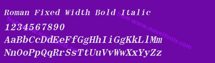 Roman Fixed Width Bold ItalicPreview