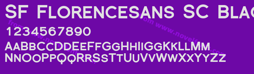 SF Florencesans SC BlackPreview