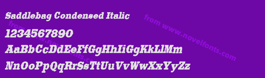 Saddlebag Condensed ItalicPreview