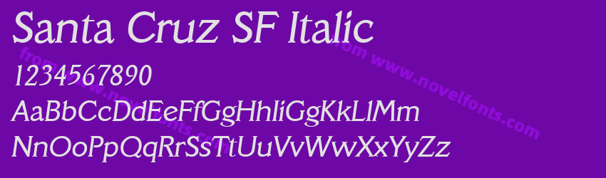 Santa Cruz SF ItalicPreview