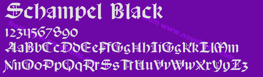 Schampel BlackPreview