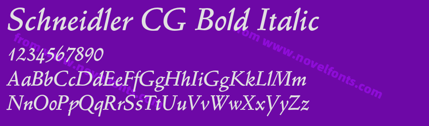 Schneidler CG Bold ItalicPreview