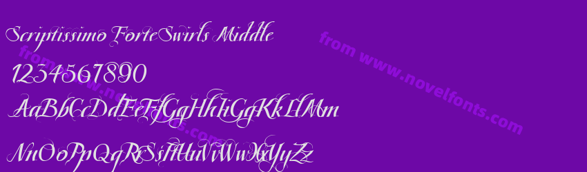 Scriptissimo Forte Swirls MiddlePreview