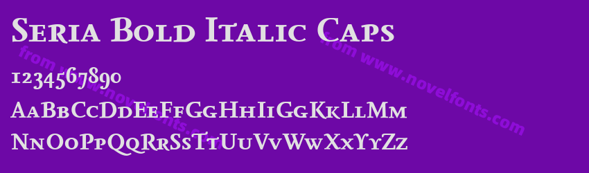 Seria Bold Italic CapsPreview