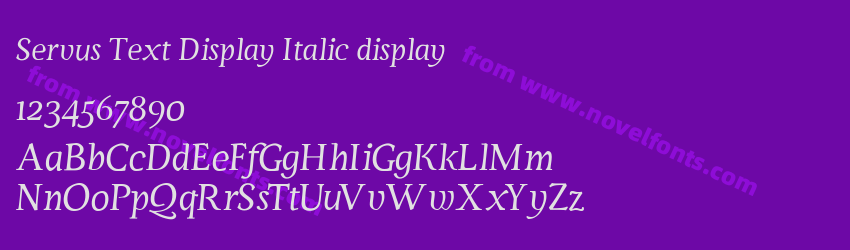 Servus Text Display Italic displayPreview