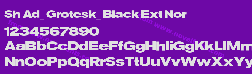 Sh Ad_ Grotesk_ Black Ext NorPreview