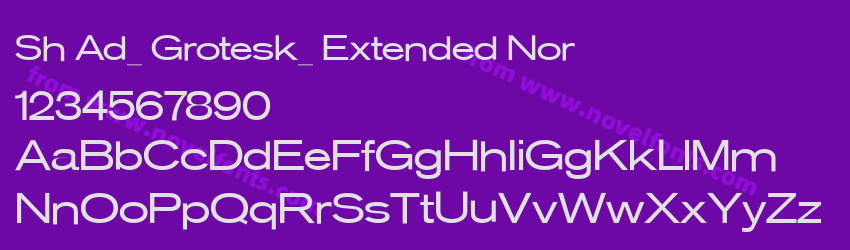 Sh Ad_ Grotesk_ Extended NorPreview