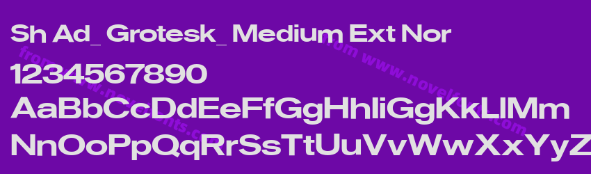 Sh Ad_ Grotesk_ Medium Ext NorPreview