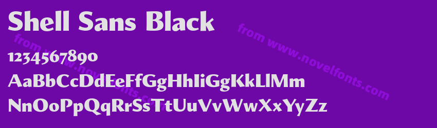 Shell Sans BlackPreview