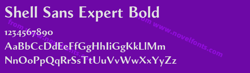 Shell Sans Expert BoldPreview