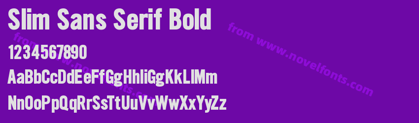 Slim Sans Serif BoldPreview