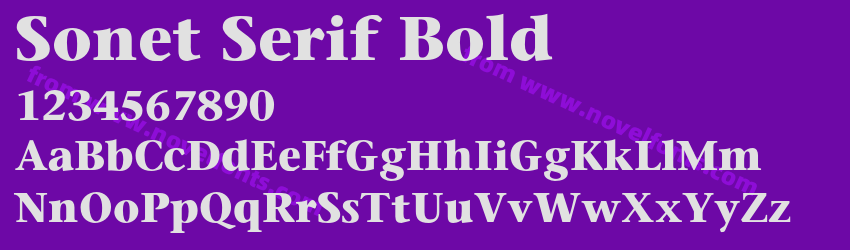 Sonet Serif BoldPreview