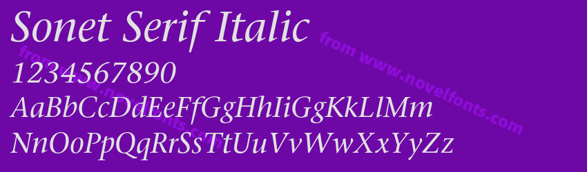 Sonet Serif ItalicPreview