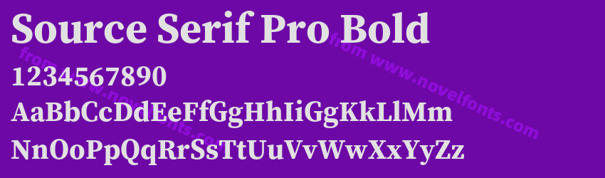 Source Serif Pro BoldPreview