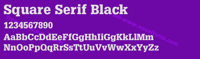 Square Serif BlackPreview