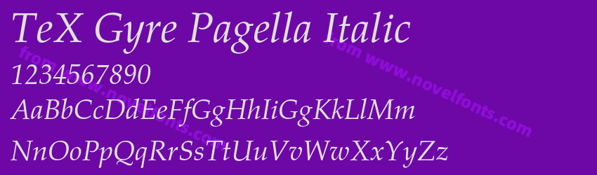 TeX Gyre Pagella ItalicPreview