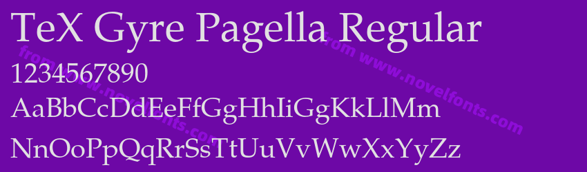 TeX Gyre Pagella RegularPreview