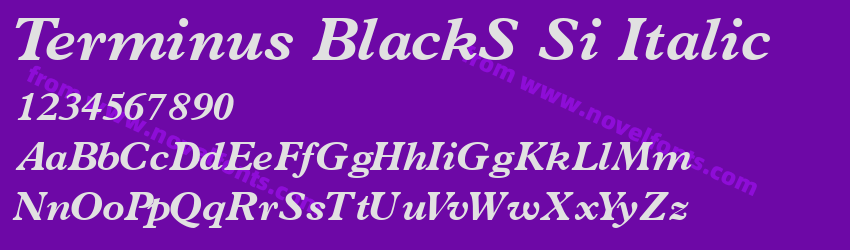 Terminus BlackS Si ItalicPreview