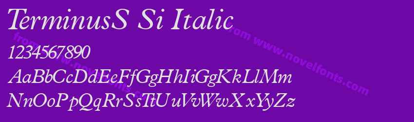 TerminusS Si ItalicPreview