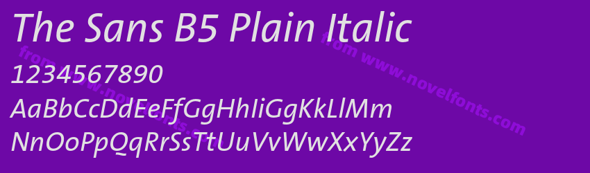 The Sans B5 Plain ItalicPreview