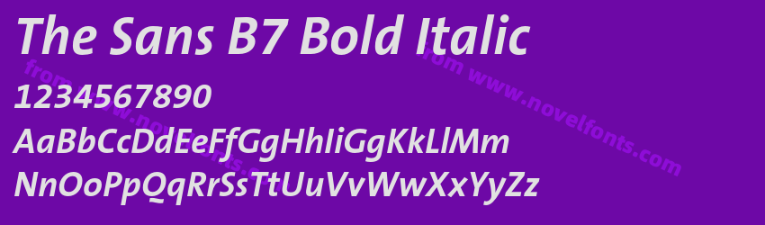 The Sans B7 Bold ItalicPreview