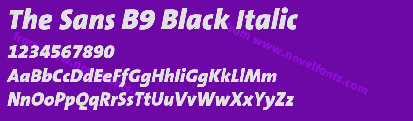 The Sans B9 Black ItalicPreview