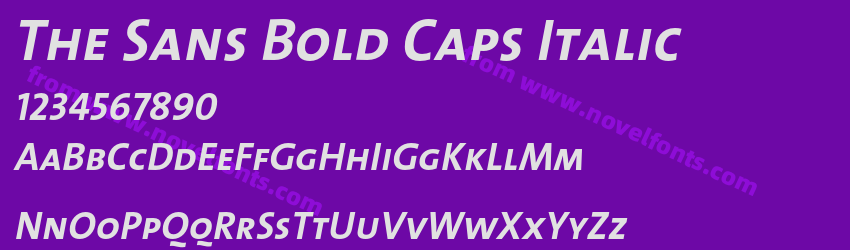 The Sans Bold Caps ItalicPreview