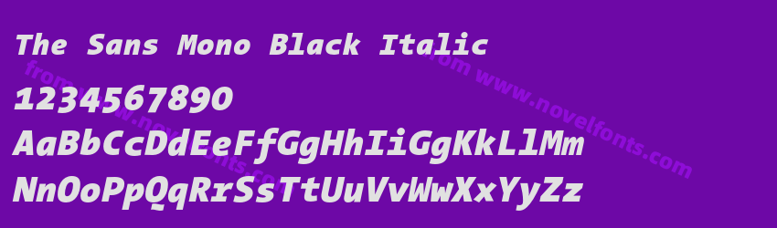 The Sans Mono Black ItalicPreview