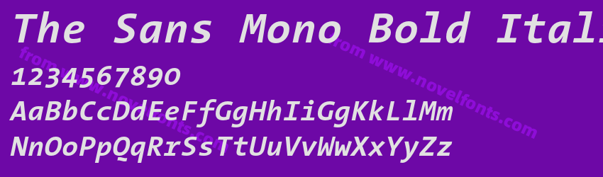 The Sans Mono Bold ItalicPreview