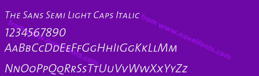 The Sans Semi Light Caps ItalicPreview