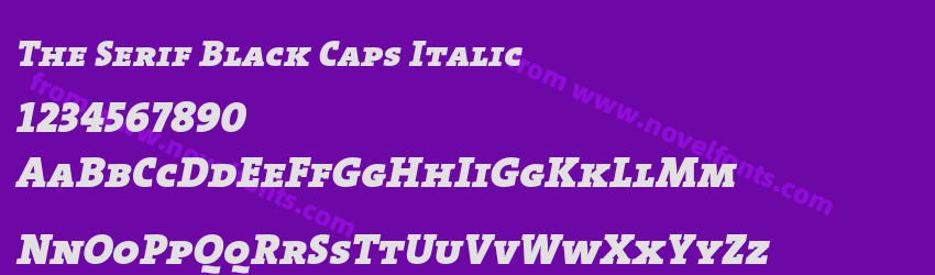 The Serif Black Caps ItalicPreview