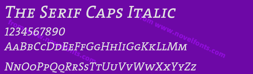 The Serif Caps ItalicPreview