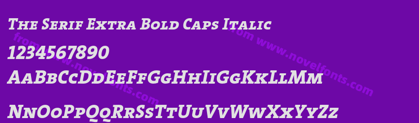 The Serif Extra Bold Caps ItalicPreview