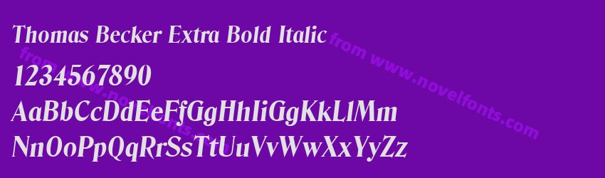 Thomas Becker Extra Bold ItalicPreview