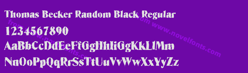 Thomas Becker Random Black RegularPreview